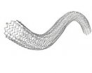 cook ptx stent.jpg